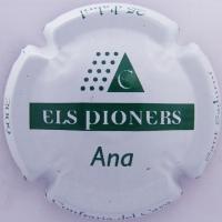 Placa