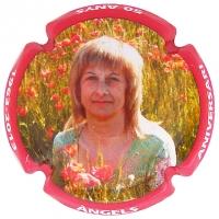 Placa 52ecb4c0bc002_82a72d5a99ae20683cbbabae218f68ce