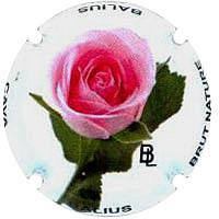 Placa 53db65f6b6b69_192b853e78043381b0664414168e490e