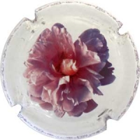 Placa 561ced2b1b9b8_10537f1d6d7d9f21a8a7e17335f31212