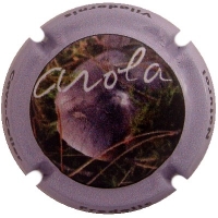 Placa 5654907fe2ab6_5097c21a7f4325dd0ee3e6789cd6856f