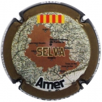 Placa 5884d6961958d_ea222a1fa28e143216937cd9441c9f05