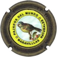 Placa 58bc5a8939977_aa3b4a02f6afb849293198e0a48cb2db