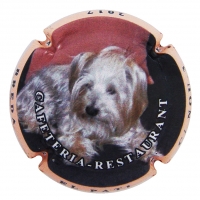 Placa 59318aaccaded_7f578e7c3549081bba1d71a56863d6b8