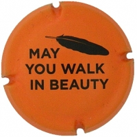 Placa 595145c4293ce_8d1908b5877886d89fcb60b013ec869e