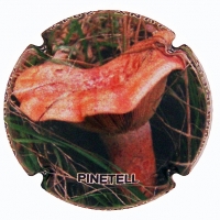 Placa 5958fff9923a2_a7680f520bc2929d3e84f85c25af7da8