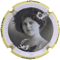 Placa 5a293dd0655e3_8dc67b63a293e1545c2a1988c3a492ef