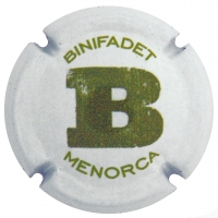 Autonòmica