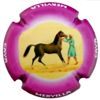 Placa 5d89ac1ac6d09_ba6f6d43b126d53a1a4ebacac252e2f4