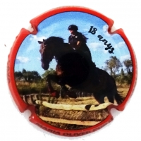 Placa 5dc2a400e1f31_8406ba62b982023e82d8e0d653daa80f