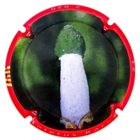 Placa 5eb53acf81fb9_1744640e445aeeea6c78e8b1903dfef2