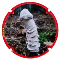 Placa 5eb53ba53220e_b7190bd8b0e10da5726667a5cf191ea7