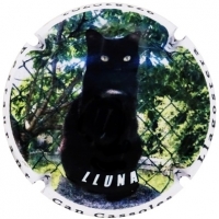 Placa 5fa3dc58657e2_5ebee845b962dde947d678b0645caeb5