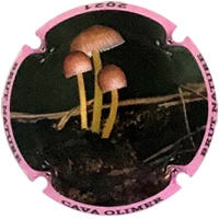 Placa 60101d63e6bc5_0aa6458b76d2bf4d2ffd911c9a933b76