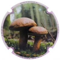 Placa 60d0f94ca0ba6_ec9da9ed5ed506a76b69c0a5acacb98e