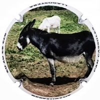 Placa 618346b2a9cfd_c6081bb8e072766a0c3ba60616ebe457