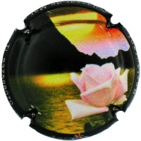 Placa 61bcfa9099bae_c3007ab528a9cf9bfab0185609dadf32