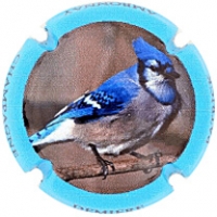 Placa 61f275a0be59b_2dfcbc9926efd263d5244f006dc3a341