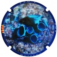 Placa 62bece45905a7_b1f0a5bf5b3b239dd4b89f6ade369325