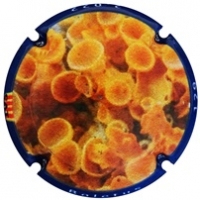 Placa 62befbca32b2c_b66665a7a35896bc428bcd54cfcf73b6