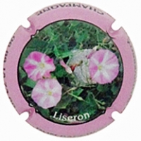 Placa 62ece6caaeb3a_1cf3dbc9abf6b0671e02f8153d153b5b