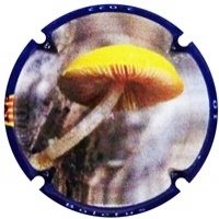 Placa 633a8d95653a3_a21a3c7b1cf3083239c7fc69276b8bcc