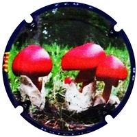 Placa 633a8ea447e34_bb5e30cfe5388987b82e038f789aa008