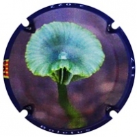 Placa 63806cbdee837_f7abe3048eed474518f649de1aab9d33