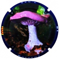 Placa 63a1f28214eb2_d3dedc298c62514defe5001b049e111d