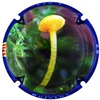 Placa 63b9e767be70d_b3e830f803b05a1f920cd8c0b41dc71a