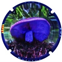 Placa 63bad54543280_2e7db3e39005b6a1689511ac8fcf7426