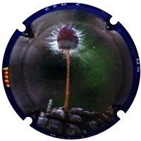 Placa 63d4036045905_a98ceccc3821152a1efbdda88d2a1c63