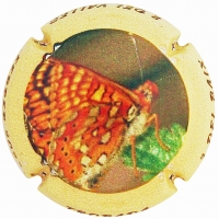 Placa 63f07779c1845_69f5bf524c2e44ebe97f5c1db43ba503