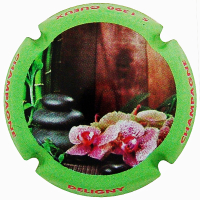 Placa 65d3df4313609_4074d7ca031ed4496a16584835ef5061