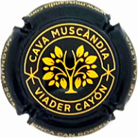 Placa 66a8ab376308f_b6a20c00f3018c99e9fd3c78c0057bfa