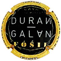 Placa 670651594a8b5_c09c43999dfcccea6b887d7852d56e6b