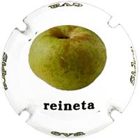 Placa 674236acbd834_8703a14015daefb2004909a4b073d245