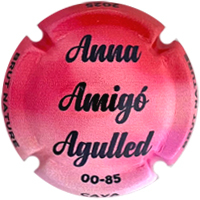 Placa 6796219a0b75b_8c9934e3b1fc4ebec3f7f9fc73554b44