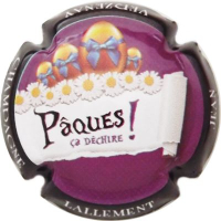 Placa 67b4d3609d1a1_cdc72b2131628df10c330bf165669c19