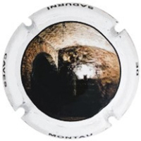 Caves