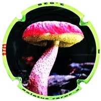 Placa 681f39a1cce86_e93ea09e7ec44949391f78ab9d13a6aa