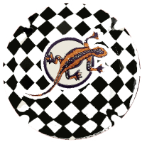 Placa 681f6c2cf0e8c_cc16a6beba8d645469c3abfe1abb0c91