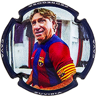 Placa 69307f522618b_8d9e410d6ed5109c8b6ba43f4a31ac44