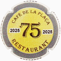 Placa 693e6b2581093_deb9a0d5693b43cca49b88c2ded760fe