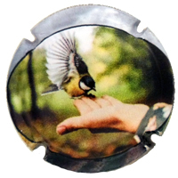 Placa 696b568ced428_adb092b3f22954bf5b621a09f4855c01