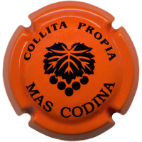 Placa