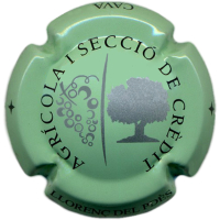 Placa