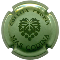 Placa
