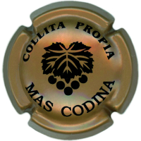 Placa