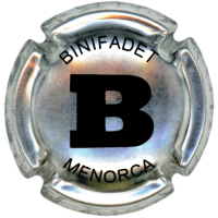 Autonòmica